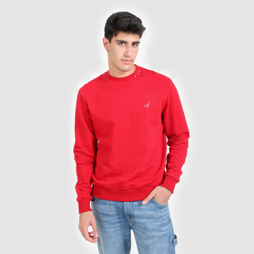 Sweat homme avec broderie