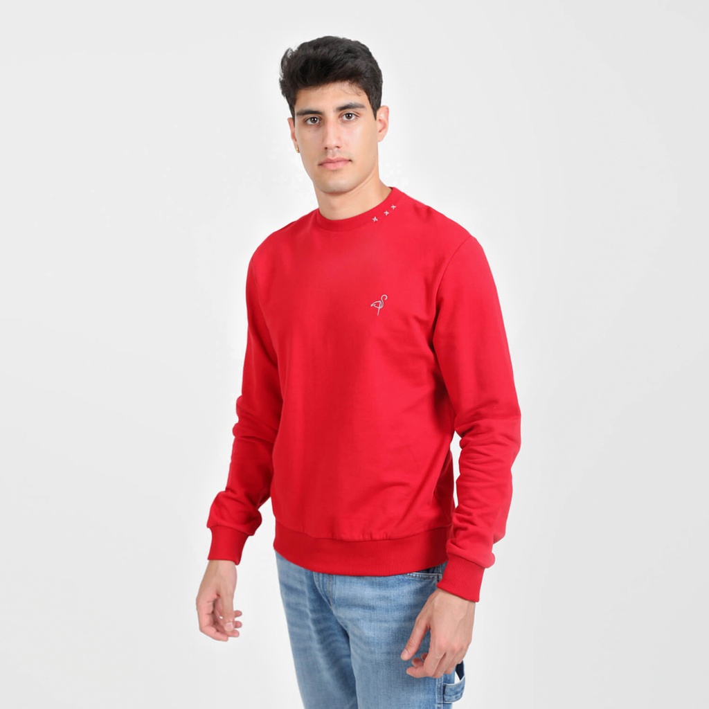 Sweat homme avec broderie