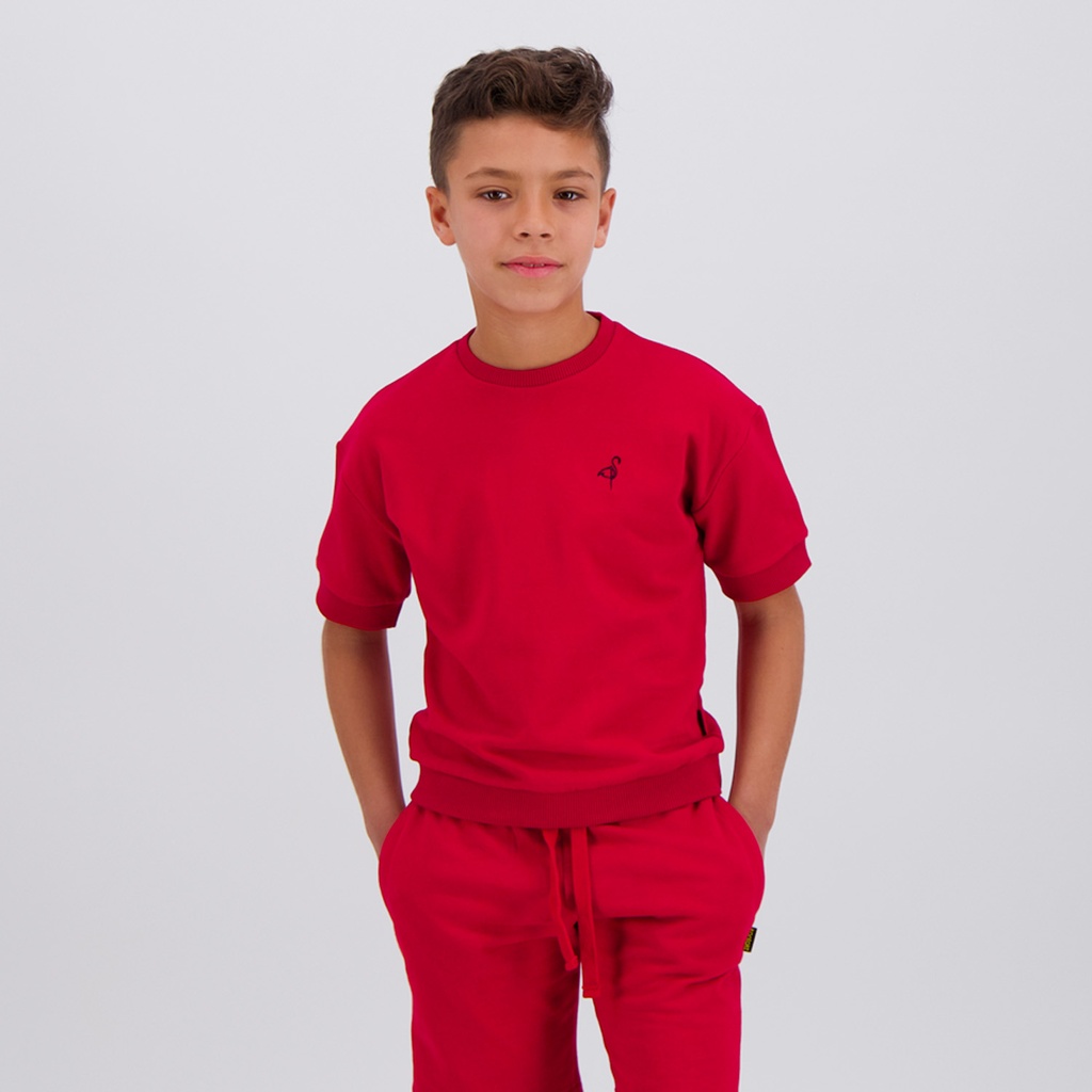 Sweat garçon manches courtes avec broderie