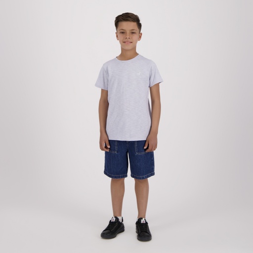 [05-010-02-637-K924-10/12A] T-shirt flammé garçon manches courtes avec broderie (Lavender, 10/12A)