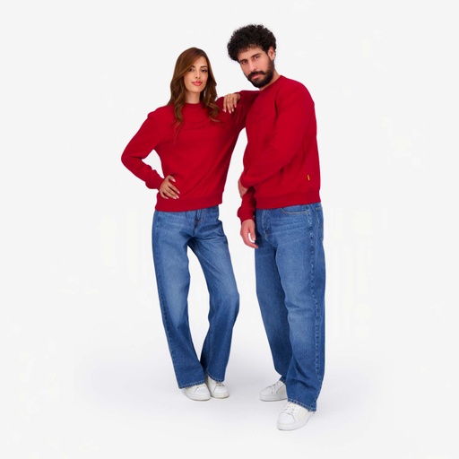 [05-010-36-229-K049-L] Sweat unisexe Adultes THIS YEAR باش نكسر الدنيا (L)