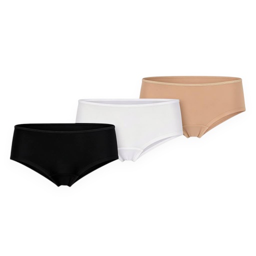 [05-010-11-023-K1009-L] Lot de 3 culottes femme en microfibre extensible (L)